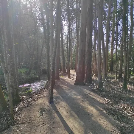 Apartamento Atico Thermae Cuntis