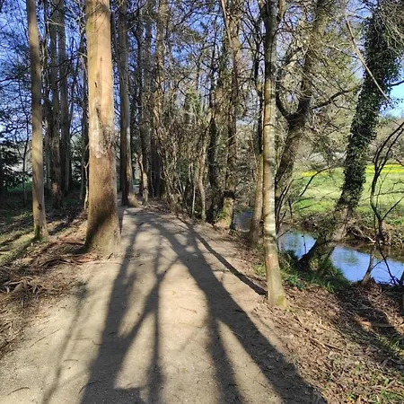 Apartamento Atico Thermae Cuntis