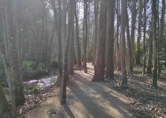 Διαμέρισμα Atico Thermae Cuntis